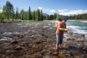 Stretching north from Silverthorne toward Kremmling, this section features easier access and a mix of riffles, pools, and deep runs. Fish are a bit less pressured the farther you get from town.
