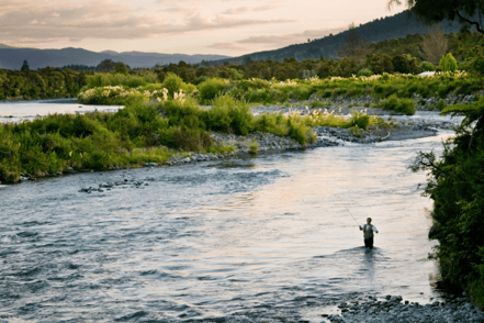 The Best Flies for Catching Cutthroat Trout in Colorado’s High-Altitude Lakes