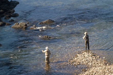 Seasonal Fly Selections for Rainbow Trout in Colorado: Matching the Hatch All Year Long