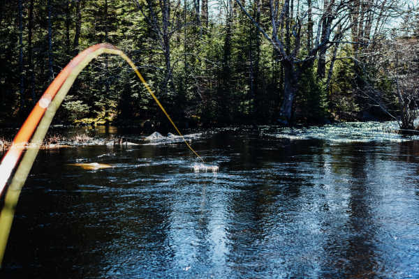 fly fishing in colorado (10)