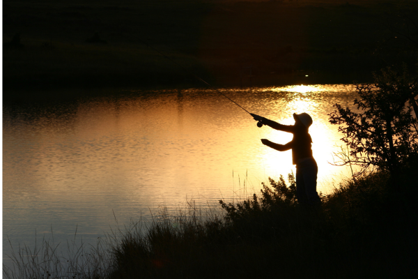 fly fishing in colorado (2)