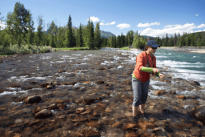 Stretching north from Silverthorne toward Kremmling, this section features easier access and a mix of riffles, pools, and deep runs. Fish are a bit less pressured the farther you get from town.
