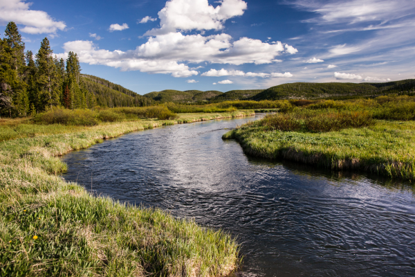 Fly fishing in Colorado in the fall. Fall colors are stricking as the arkansas rivers flows in the background