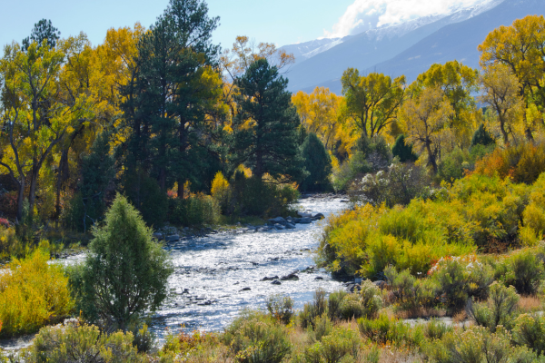 Sustainable River Management: A Guide for Fly Fishermen