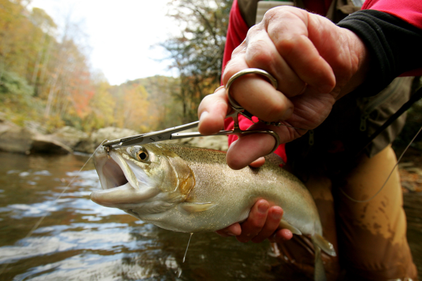 fly fishing in colorado (48)