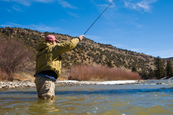 "A picturesque view of the Upper Colorado River near Pumphouse, flowing steadily at 600-800 CFS under clear fall skies. The water, running crystal clear at a temperature of 50-55°F, is perfect for trout fishing. The riverbanks are adorned with vibrant fall colors, creating a serene environment. Anglers can expect active feeding patterns from brown and rainbow trout, especially from late morning to mid-afternoon, with ideal conditions for nymphing and dry fly fishing. Larger brown trout can be found lurking in deeper pools, eagerly chasing streamers