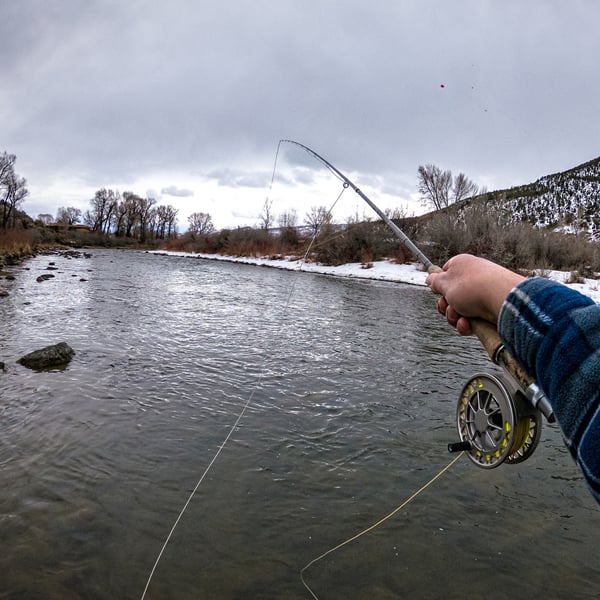 fly fishing in winter near glenwood springs colorado fly fishings spots