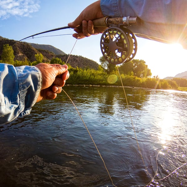 fly fishing near glenwood springs colorado on the roaring fork river near aspen