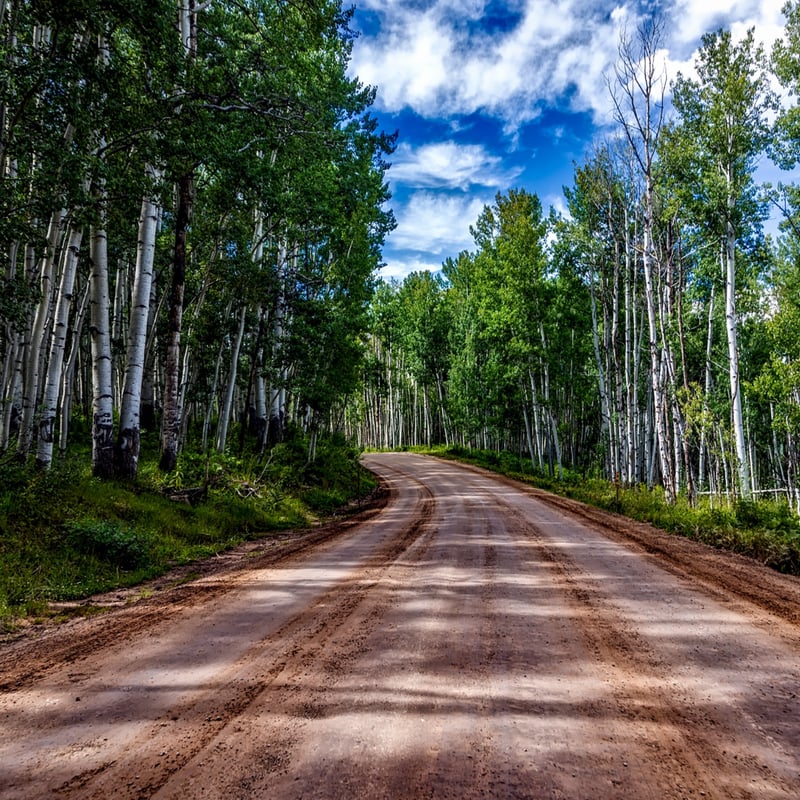 highway 67 near deckers. An aspen lined road that leads to world class fly fishing less than 2 hrs from denver