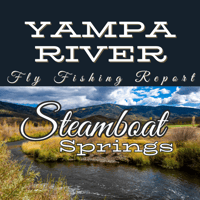 Fly angler casting into the Yampa River near Steamboat Springs, surrounded by fall colors and clear water