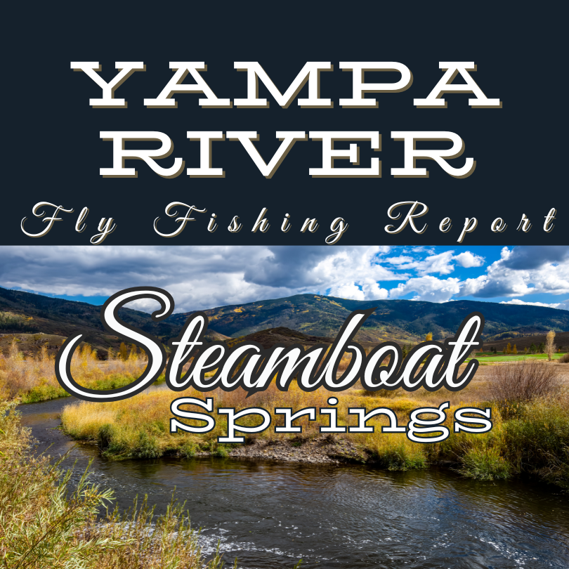 yampa River near Steamboat Colorado Fly Fishing Report