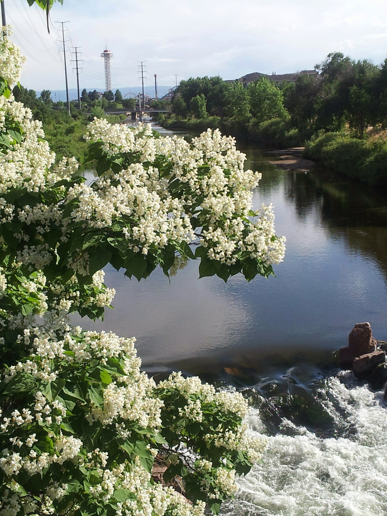 Restored section of the South Platte River in Denver, featuring clean water, green spaces, and new public trails for recreation