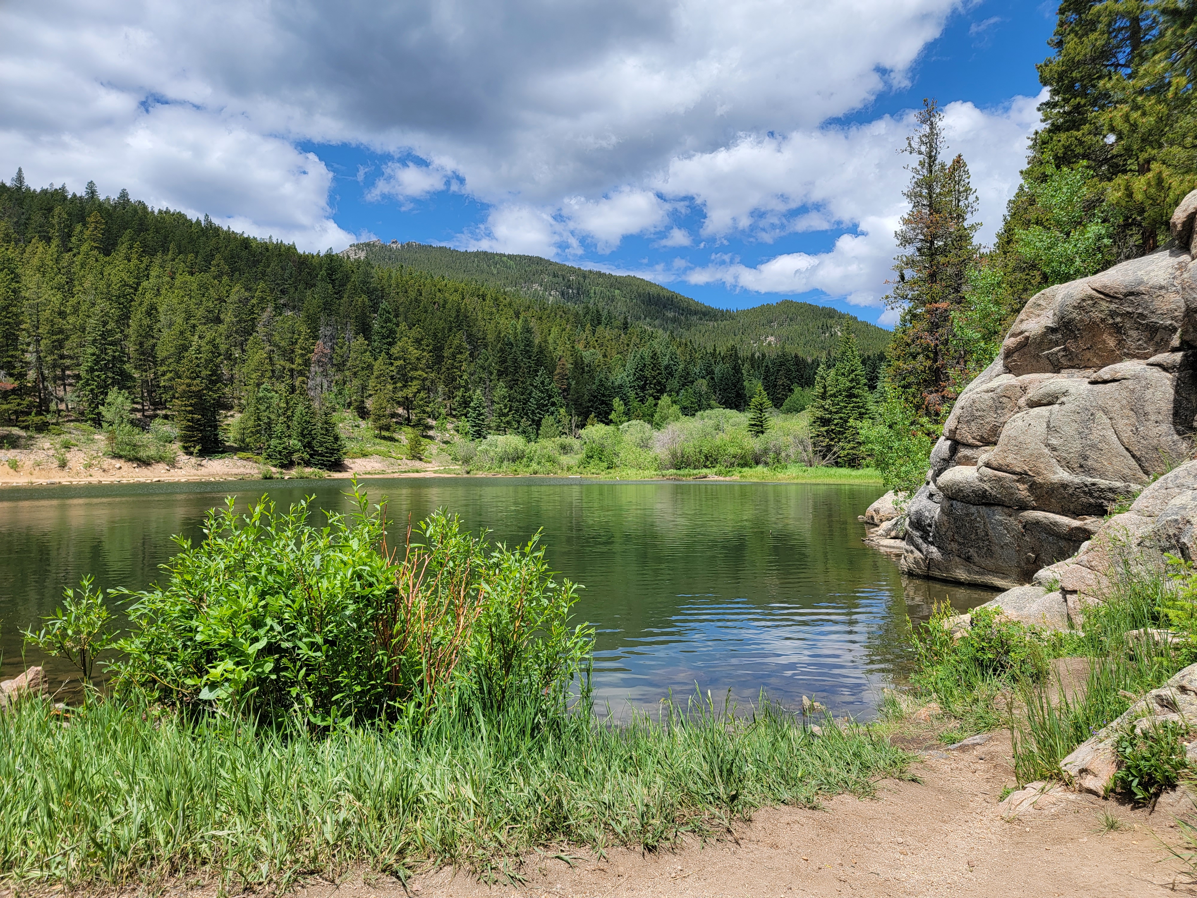 Colorado Trout Species