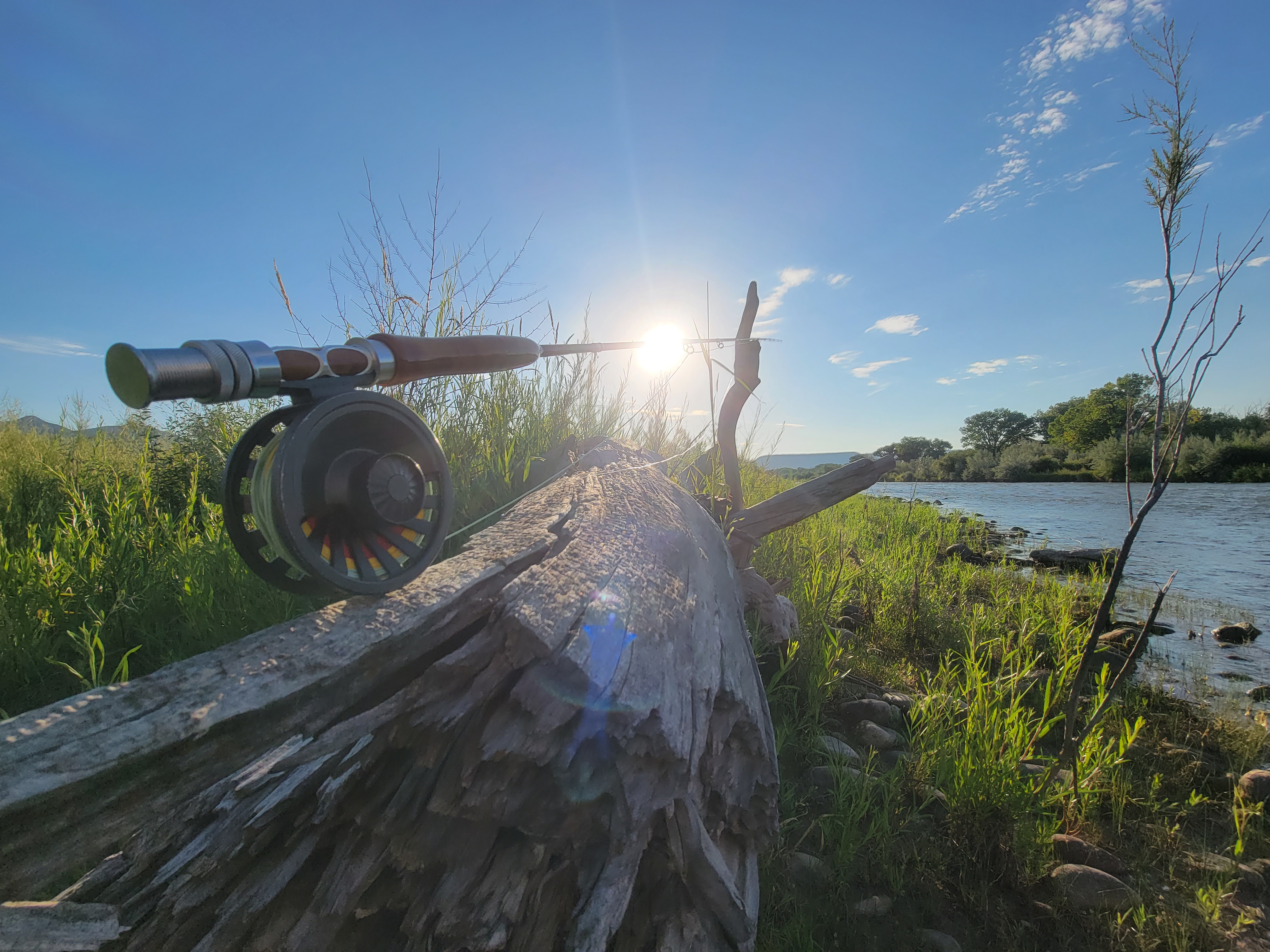 Colorado fly rod sitting on a log next to the Colorado river