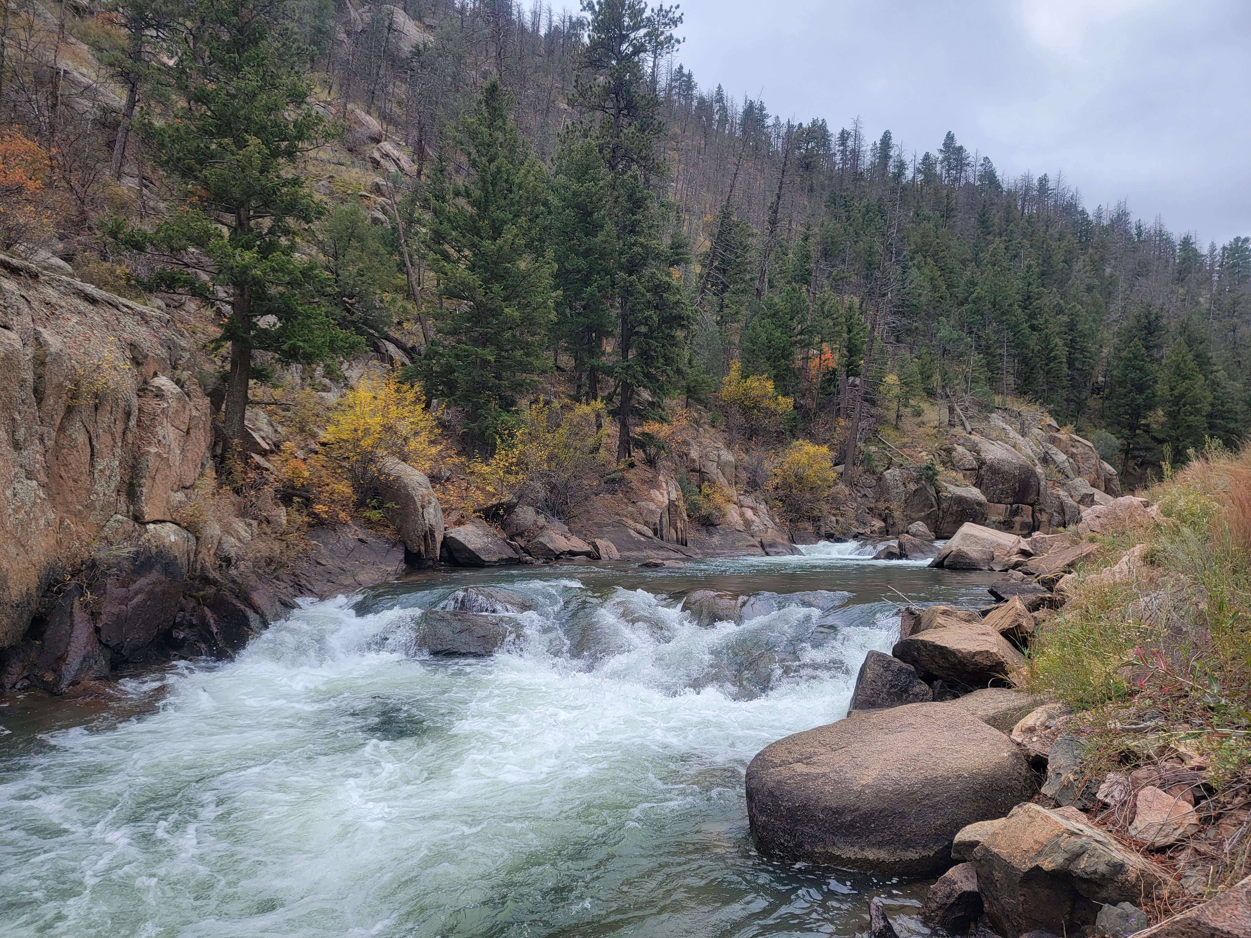 Fly Fishing in Coloraod