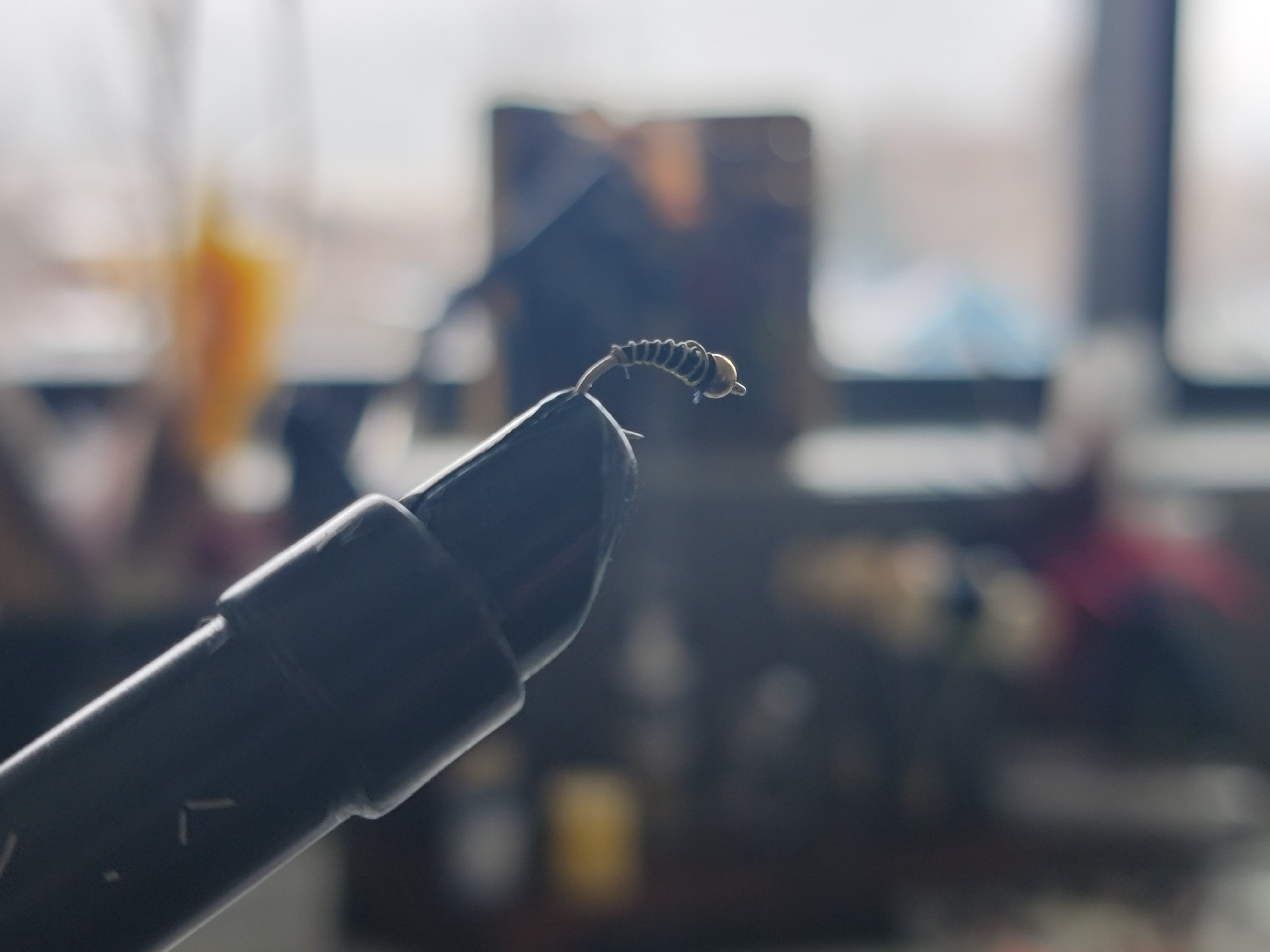 Zebra Midge close up