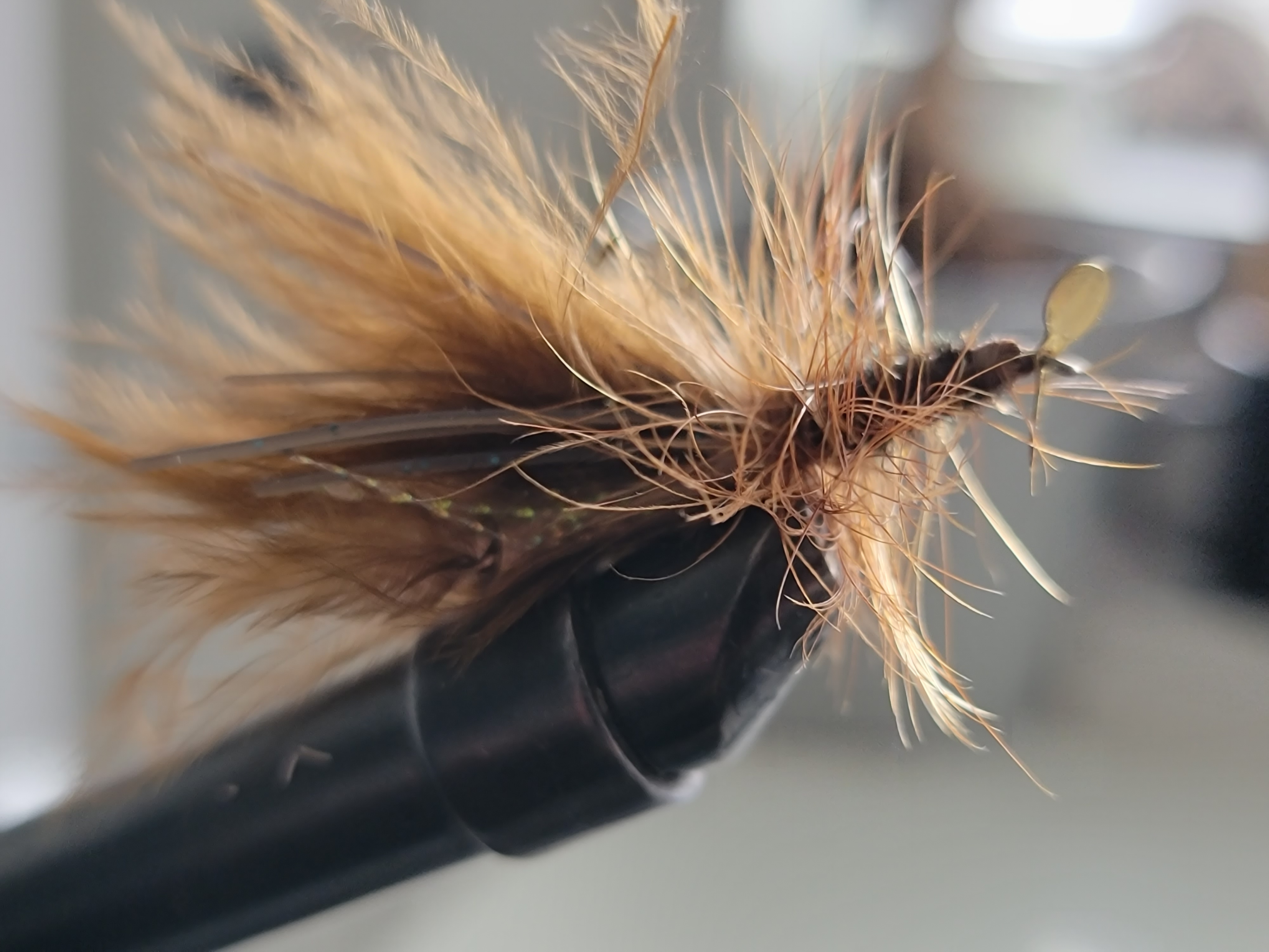 Close-up image of a Woolly Bugger fly, a popular pattern for spring trout fishing in Colorado