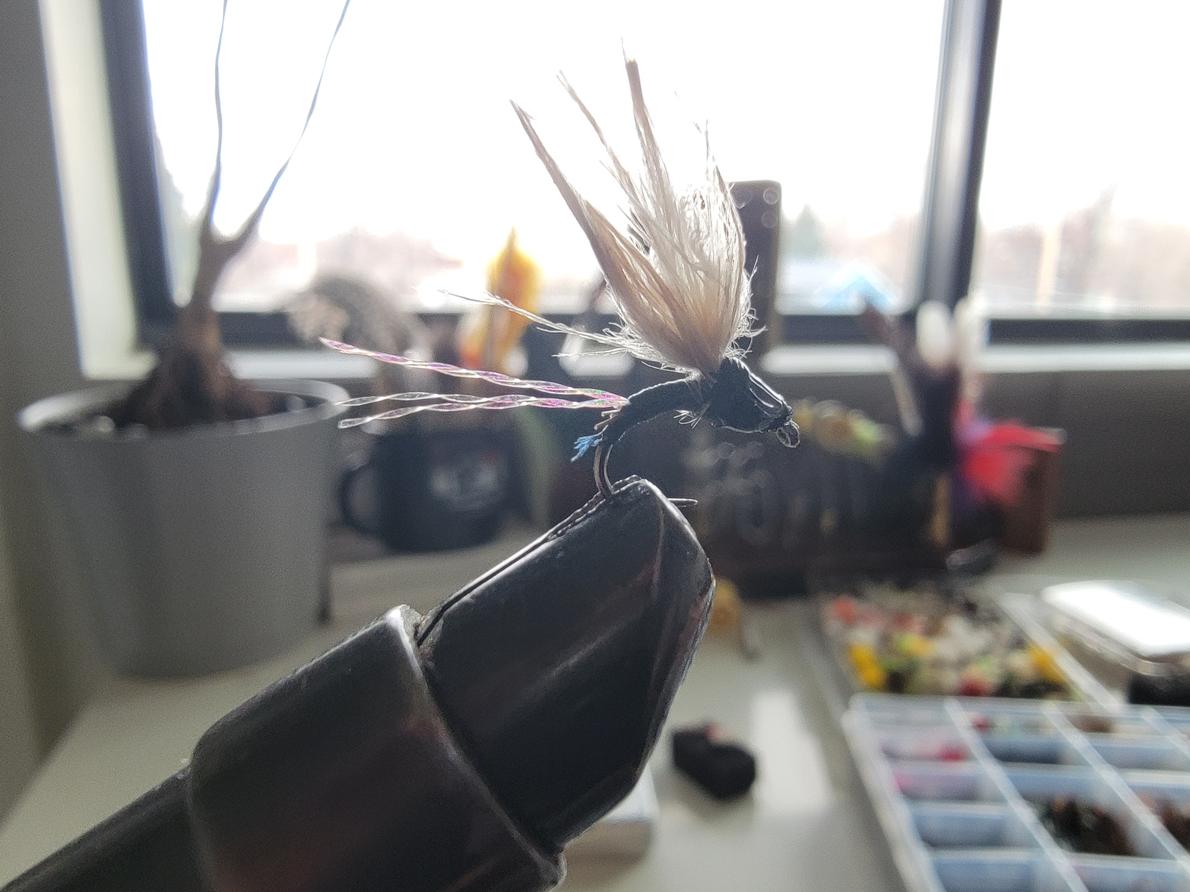 emerger fly close up