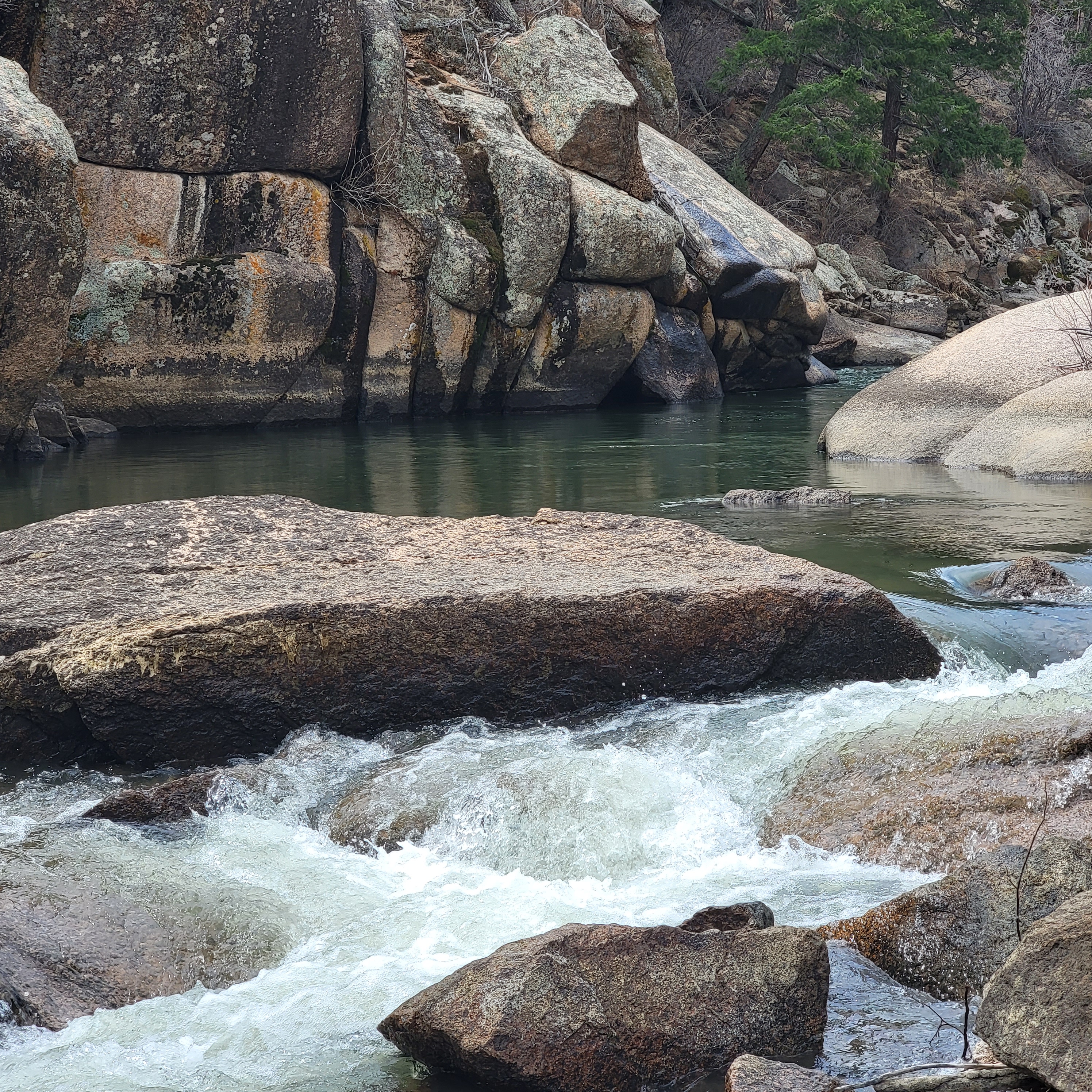 the north fork of the south platte river showing a small pool and brook trout rising before a small cascade to another pool of trout holding waters