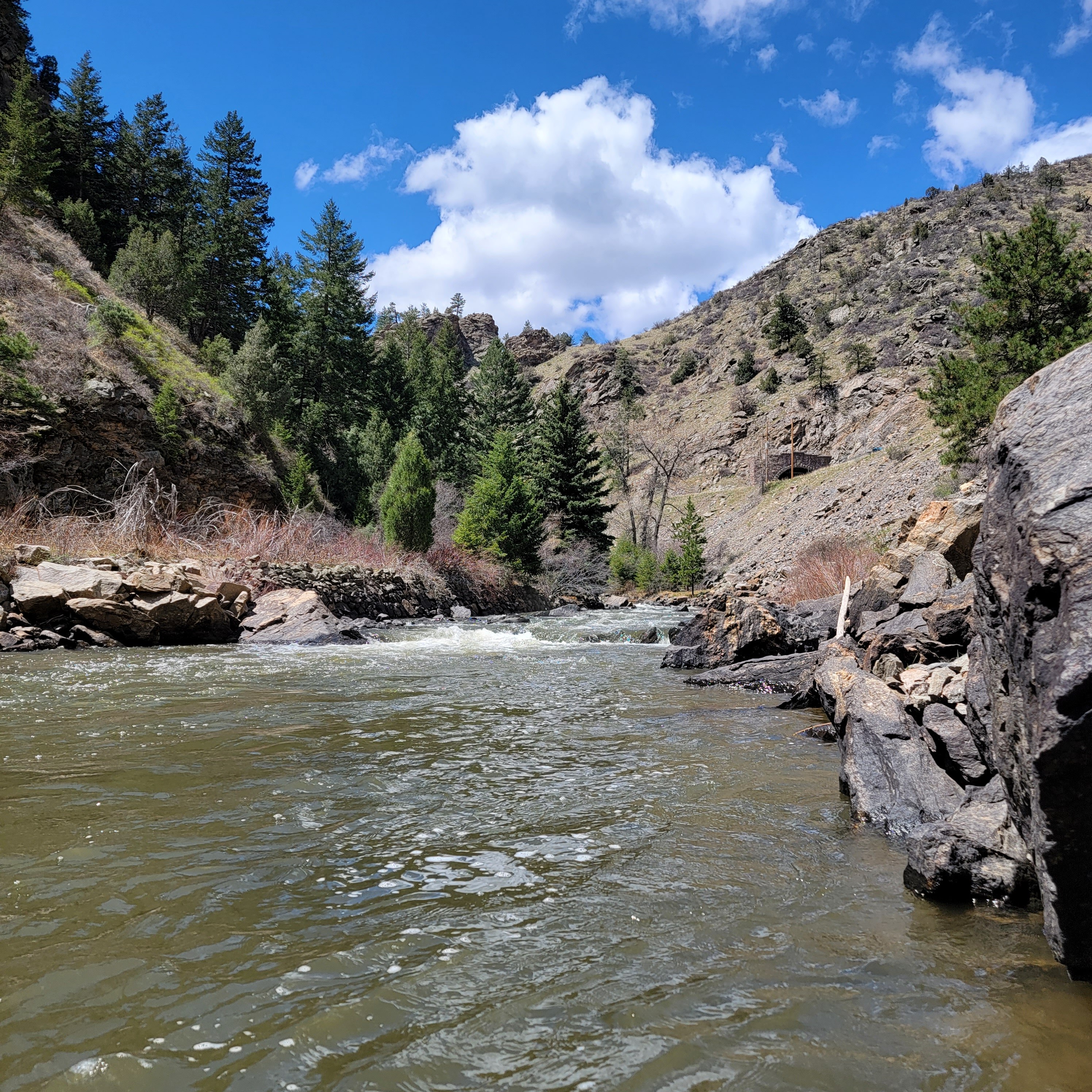 fly fisherman on clear creek colorado stylized painting. 