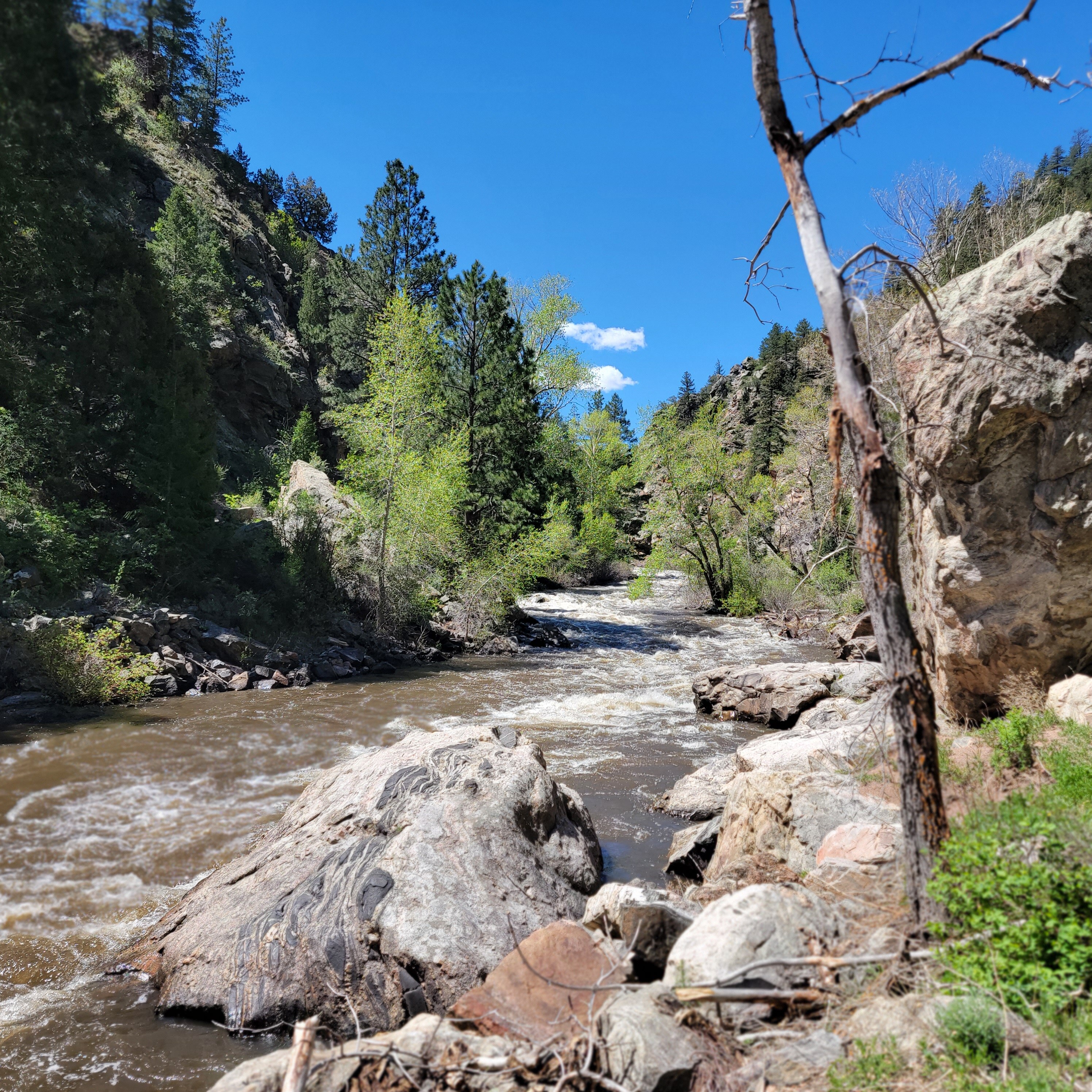 The dam at Stronia Resevior and the head water dam for Waterton Canyon overflowing with water. 