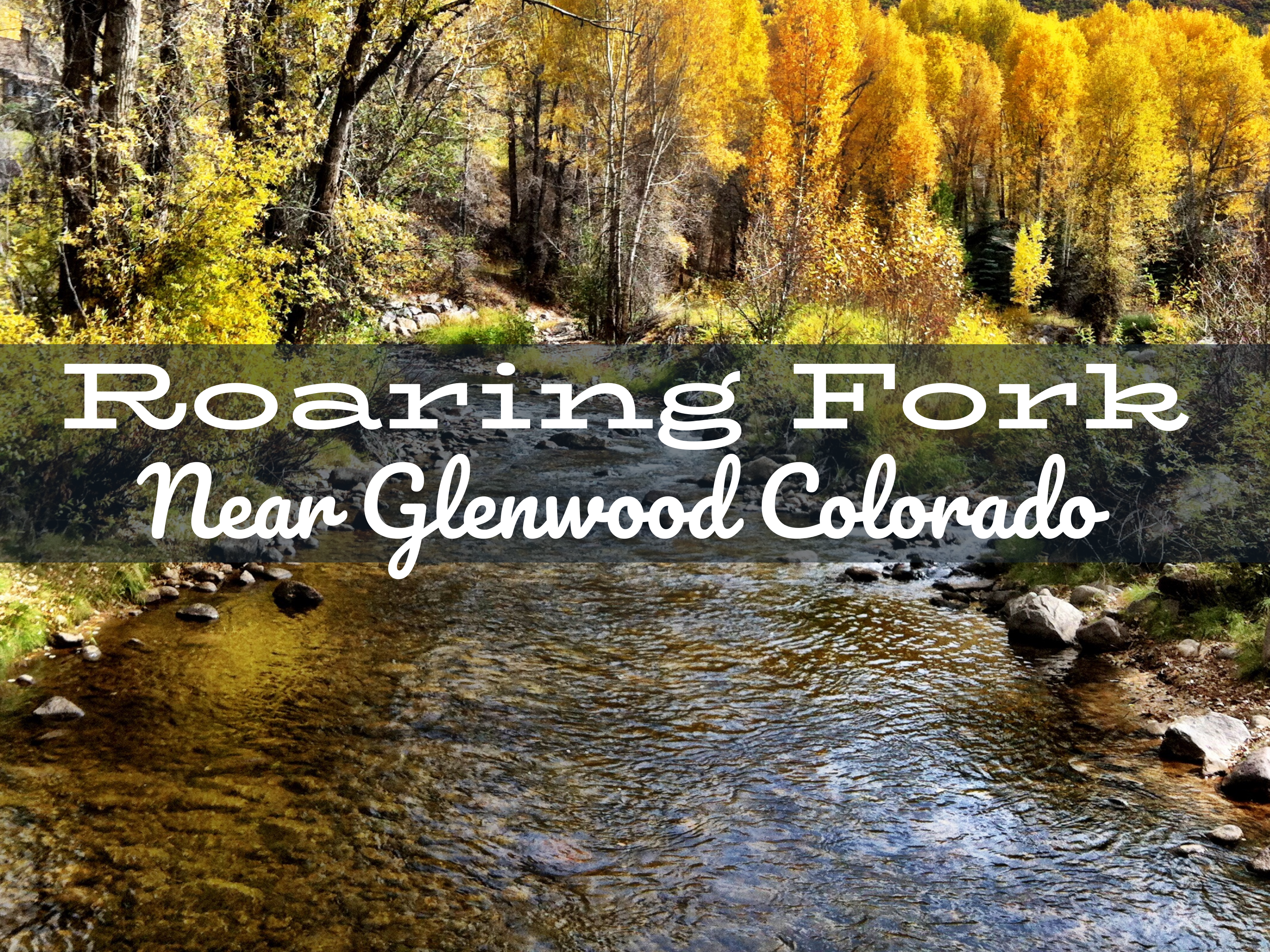 Angler casting a fly rod on the Roaring Fork River, surrounded by fall colors in the Colorado mountains.
