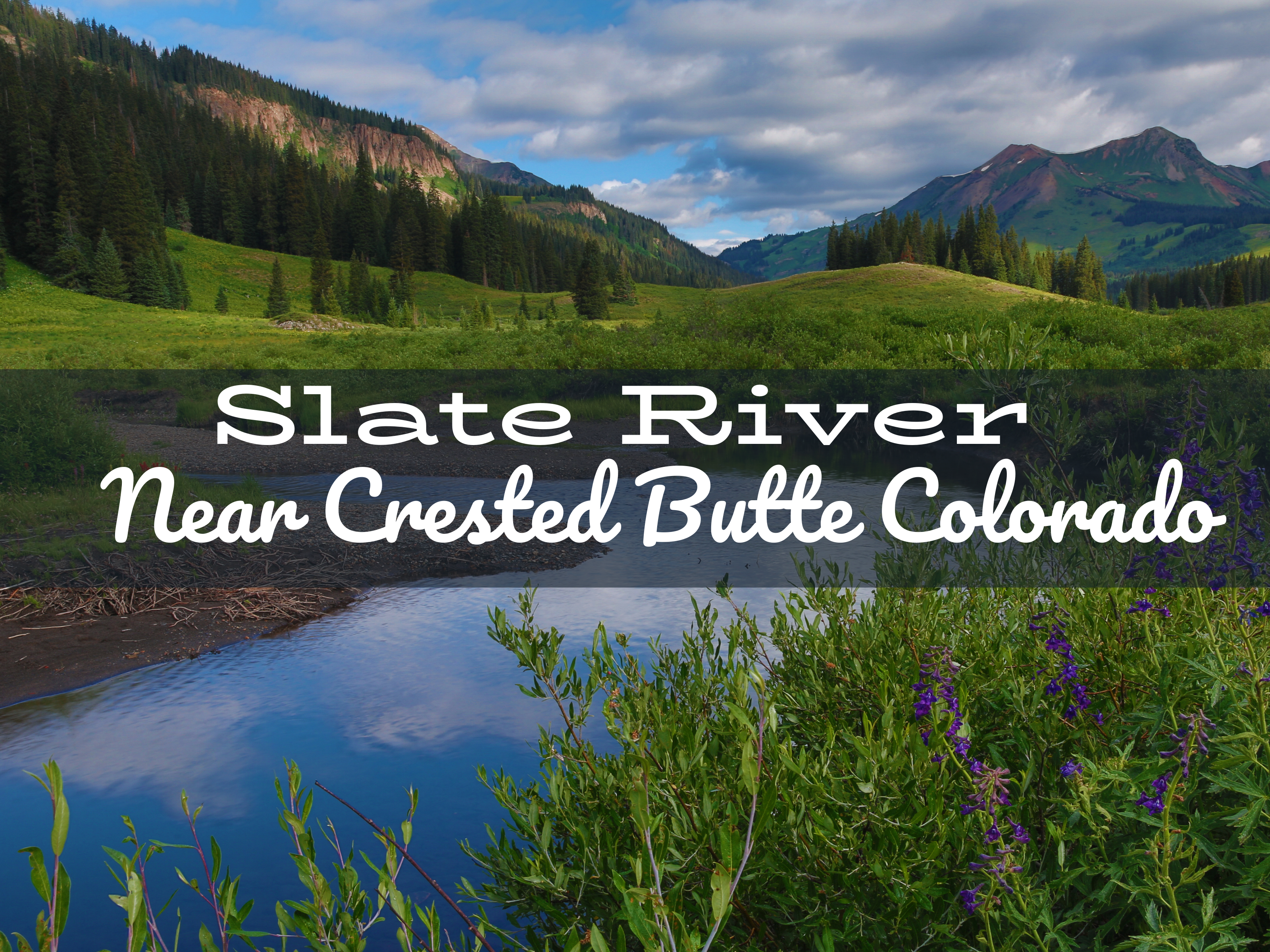 An angler wading in the Slate River near Crested Butte, Colorado, surrounded by autumn colors and casting into the crystal-clear water.