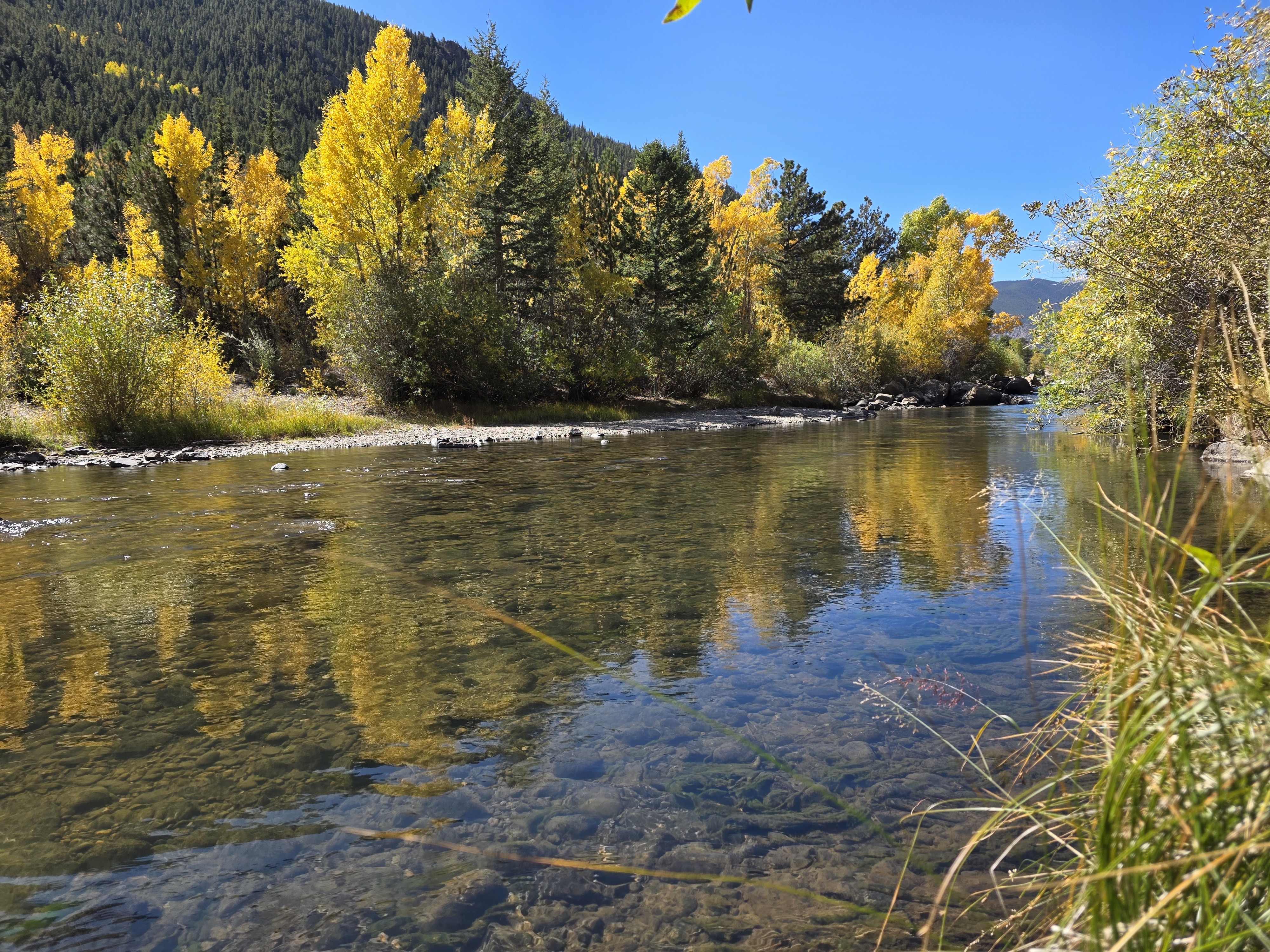 fall fly fishing in clear creek colorado