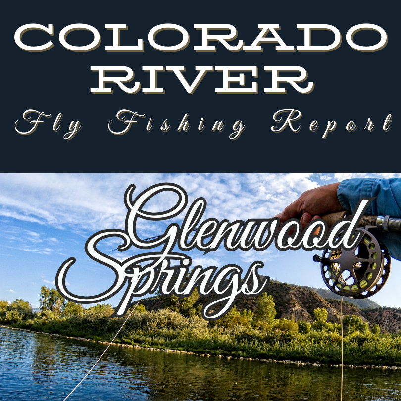 Fly fisherman casting on the Upper Colorado River at the Pumphouse Recreation Area, surrounded by scenic canyon walls and clear, flowing water.