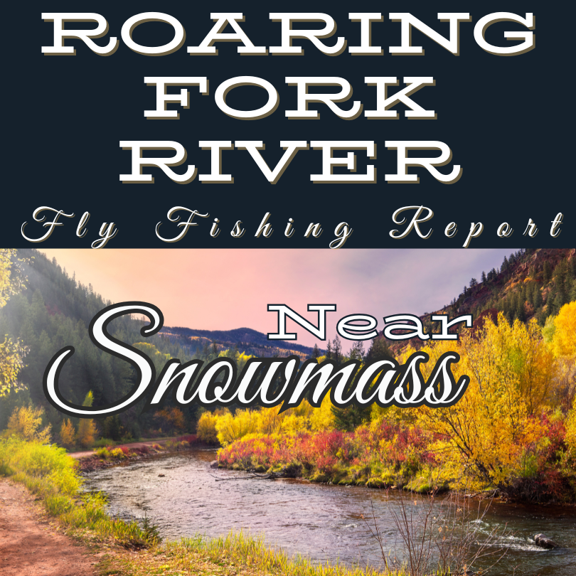 Angler casting a fly rod on the Roaring Fork River, surrounded by fall colors in the Colorado mountains.