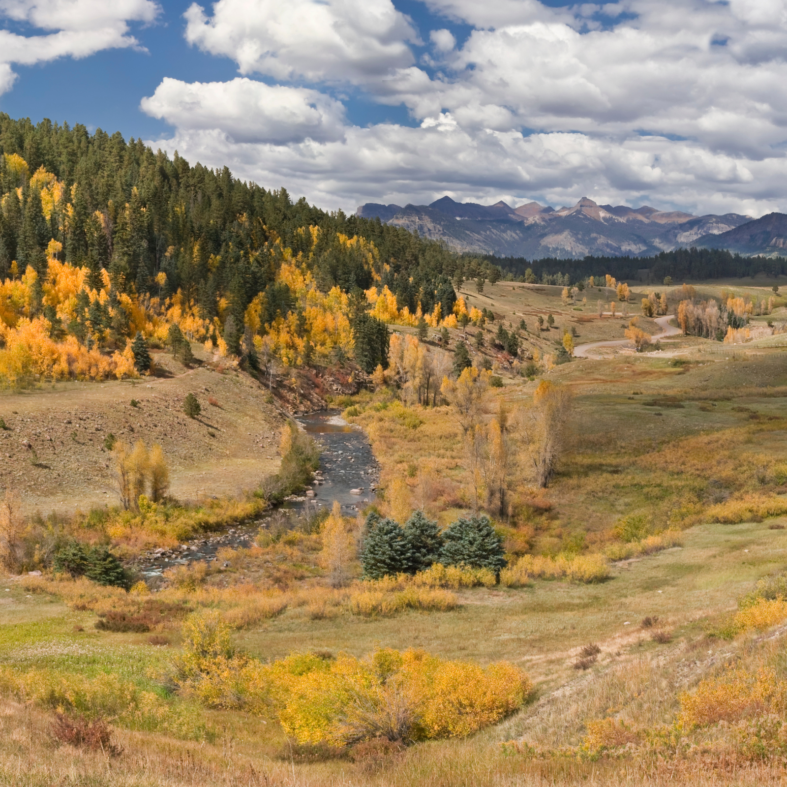 Panoramic view of the Piedra River valley outside Pagosa Springs, Colorado, with crystal-clear water cutting through a rugged canyon — a hidden gem for fly fishing enthusiasts