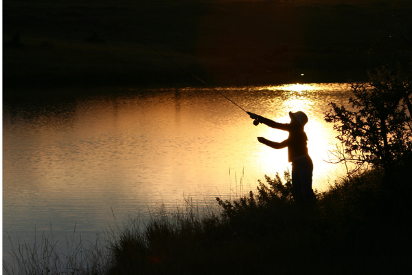 an angler cast over st. vrain creek near lyons. This fly fishing spot is only 1.5 hours form denver and overlooked by most.