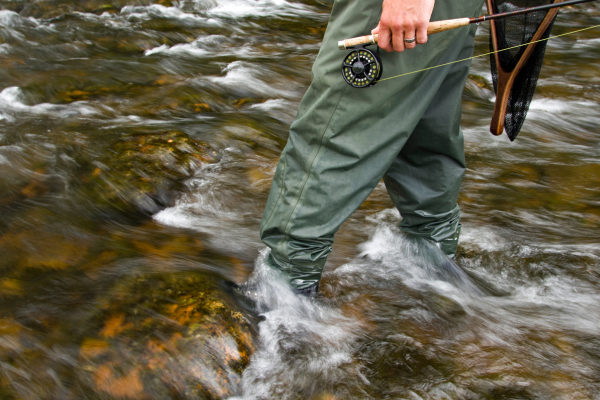 wading fly fishing in colorado