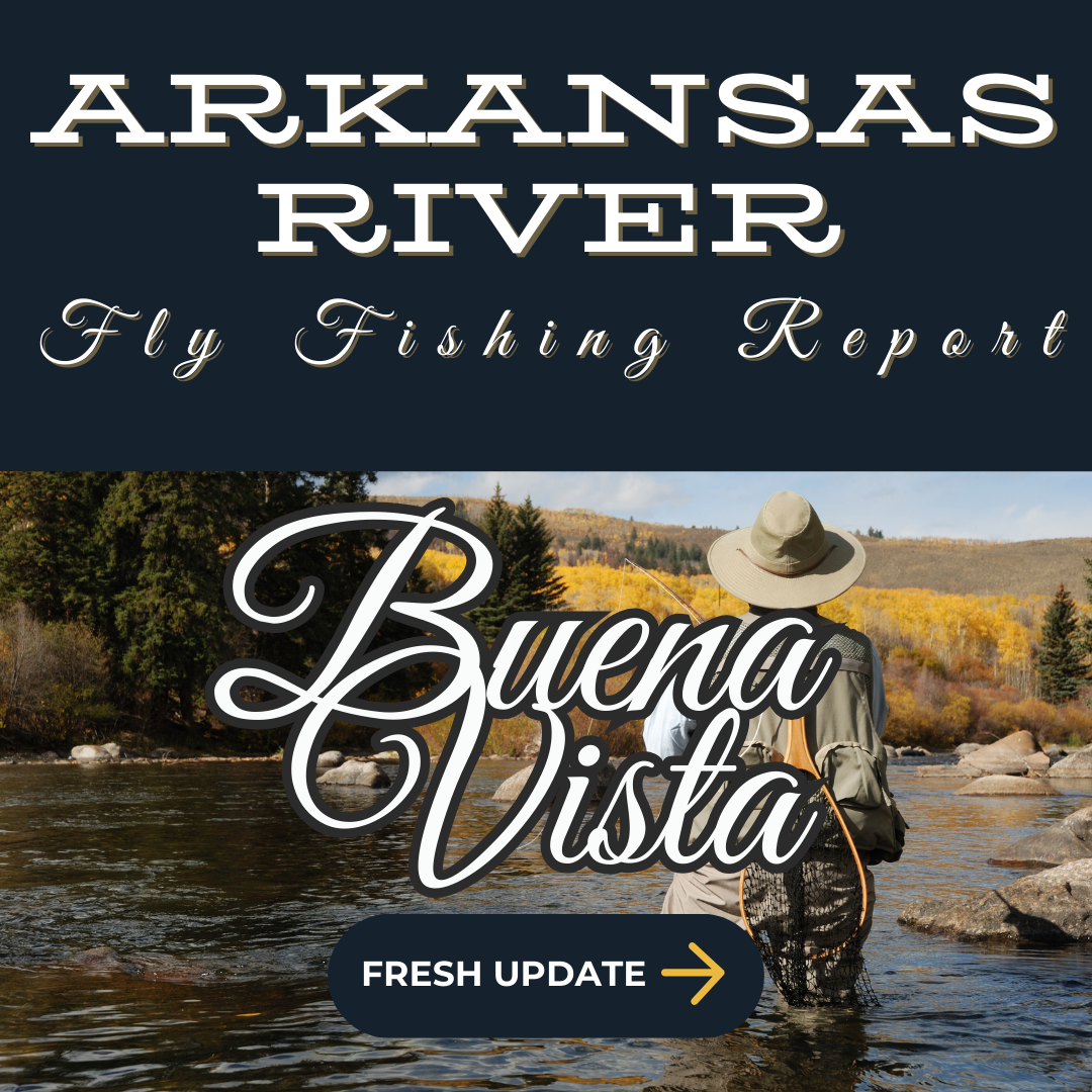 Arkansas River - The Arkansas River angler casting in fall flowing through a rugged valley of buena vista