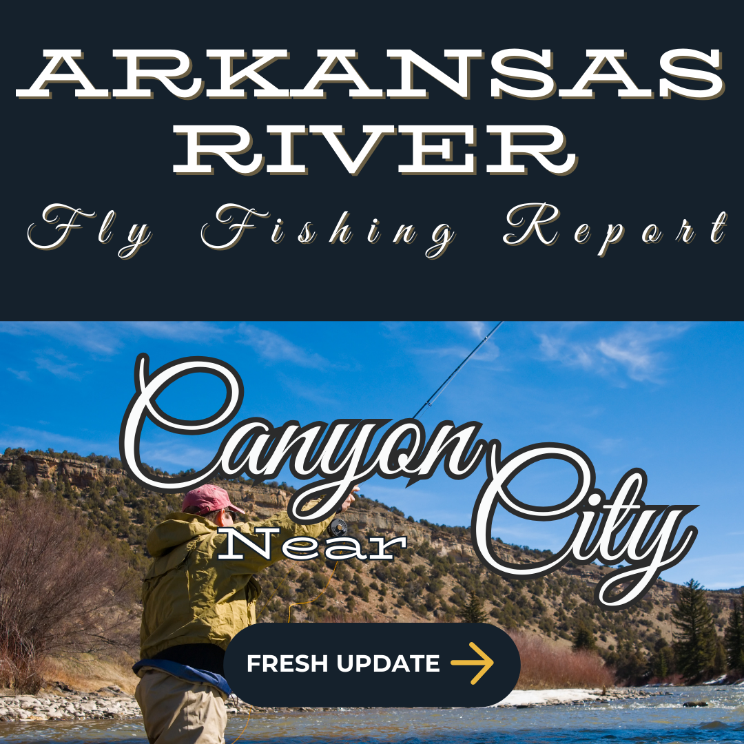 Fly angler casting into the Lower Arkansas River near Cañon City, surrounded by canyon cliffs and crystal-clear waters, targeting trout in deep pools and riffles