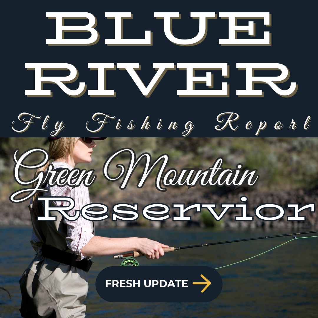 Angler fly fishing on the Blue River in Colorado, casting into clear, cold waters below the Dillon Reservoir, surrounded by mountain scenery