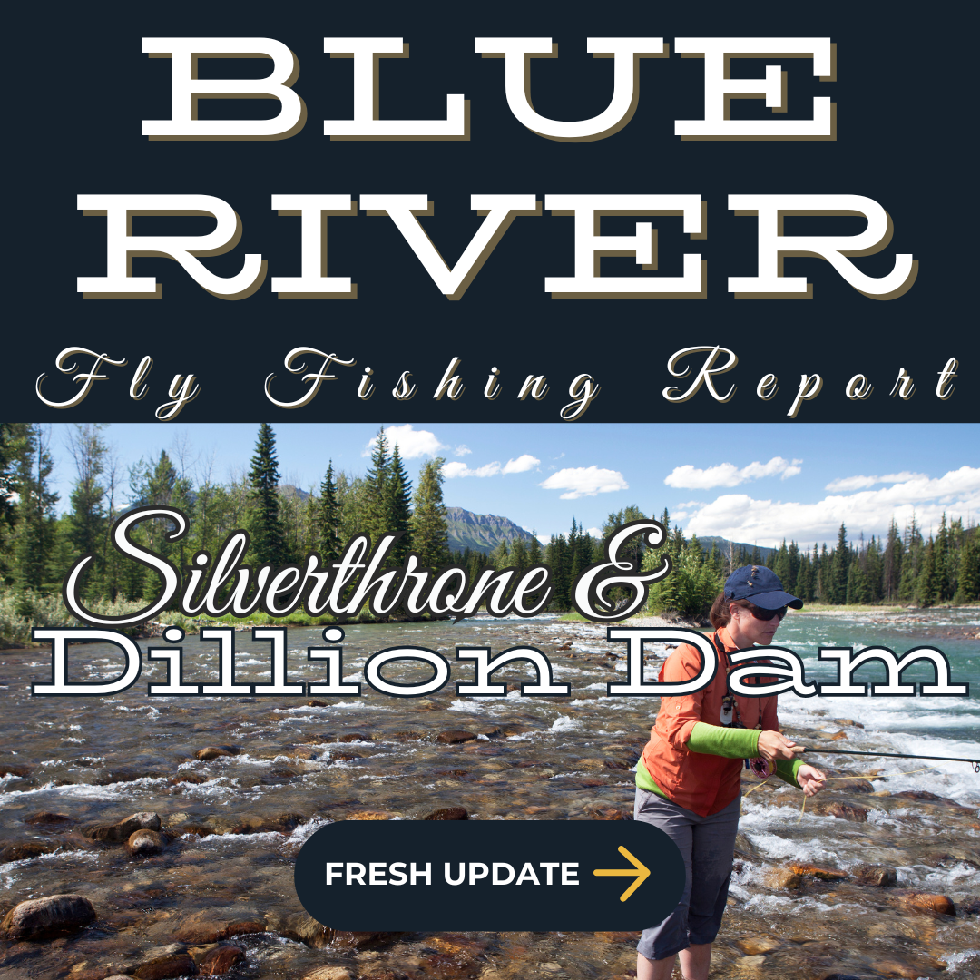 Blue River near silverthorne - The Blue Rivers turquoise waters roll through gravel beds with the mountainous horizon