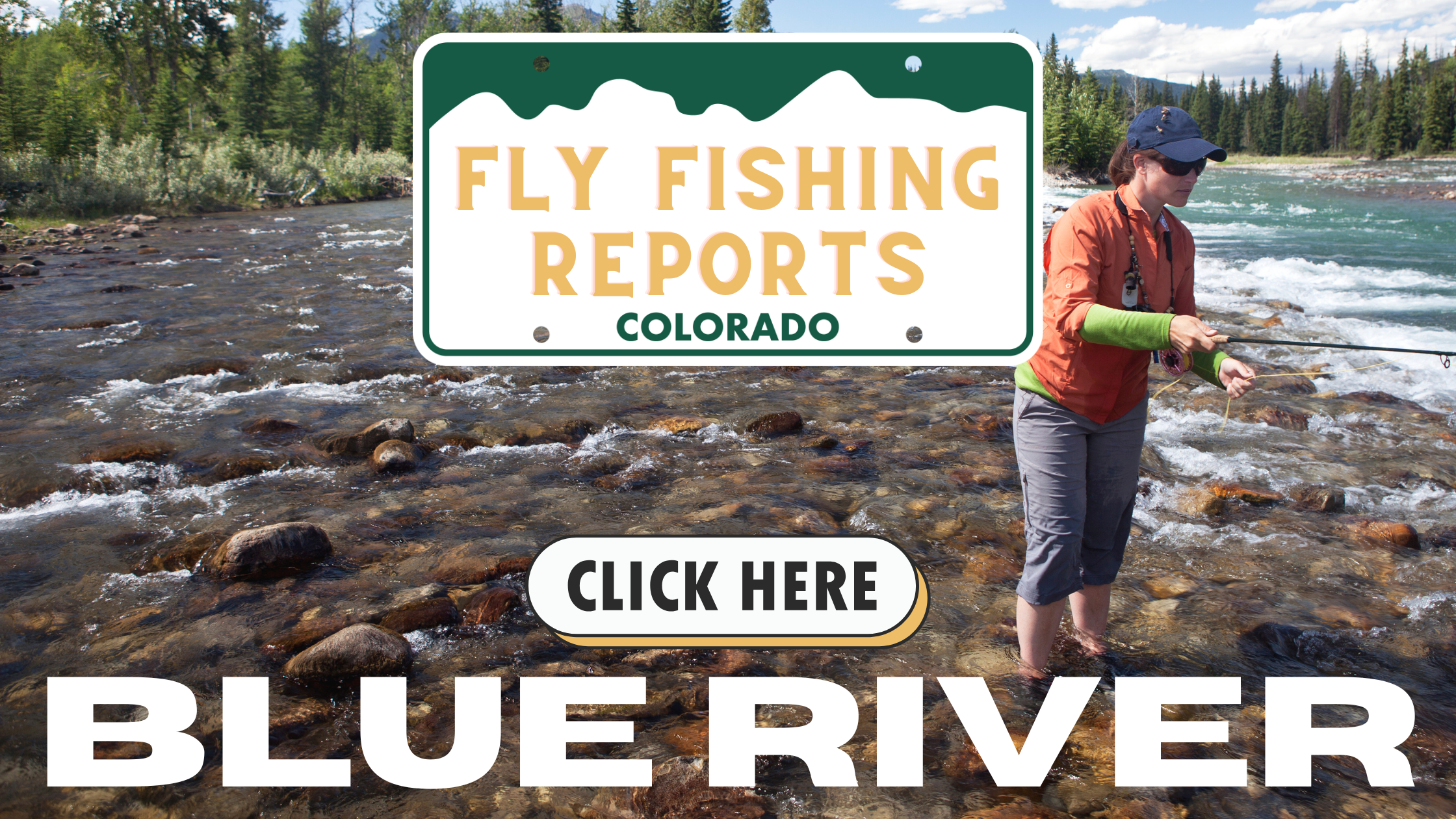 Angler fly fishing on the Blue River in Colorado, casting into clear, cold waters below the Dillon Reservoir, surrounded by mountain scenery