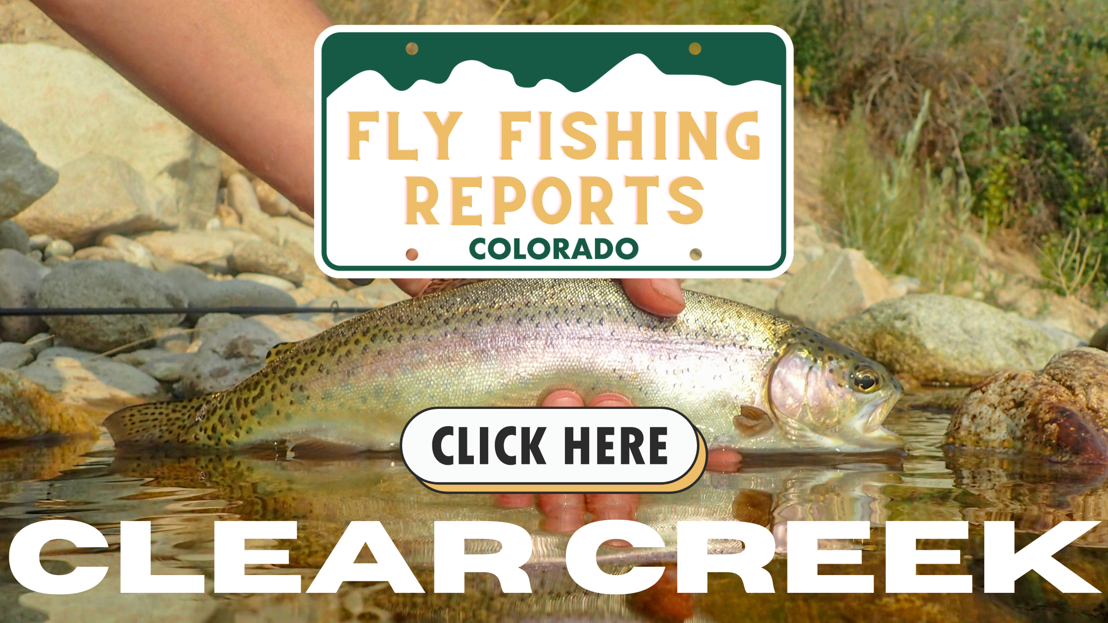 Clear creek fly fishing report from rise beyond fly fishing