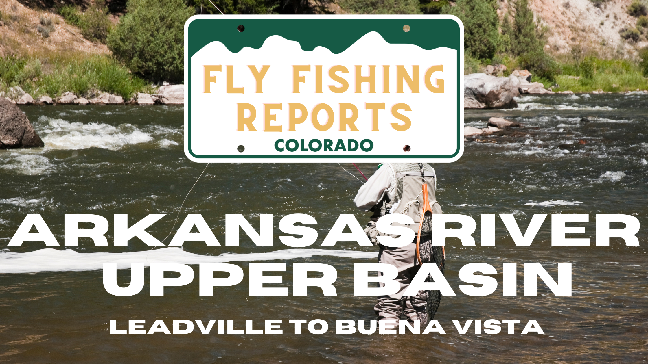 Angler fly fishing on the Arkansas River in Colorado, casting into the clear, flowing water of Bighorn Sheep Canyon surrounded by rocky cliffs and fall foliage.