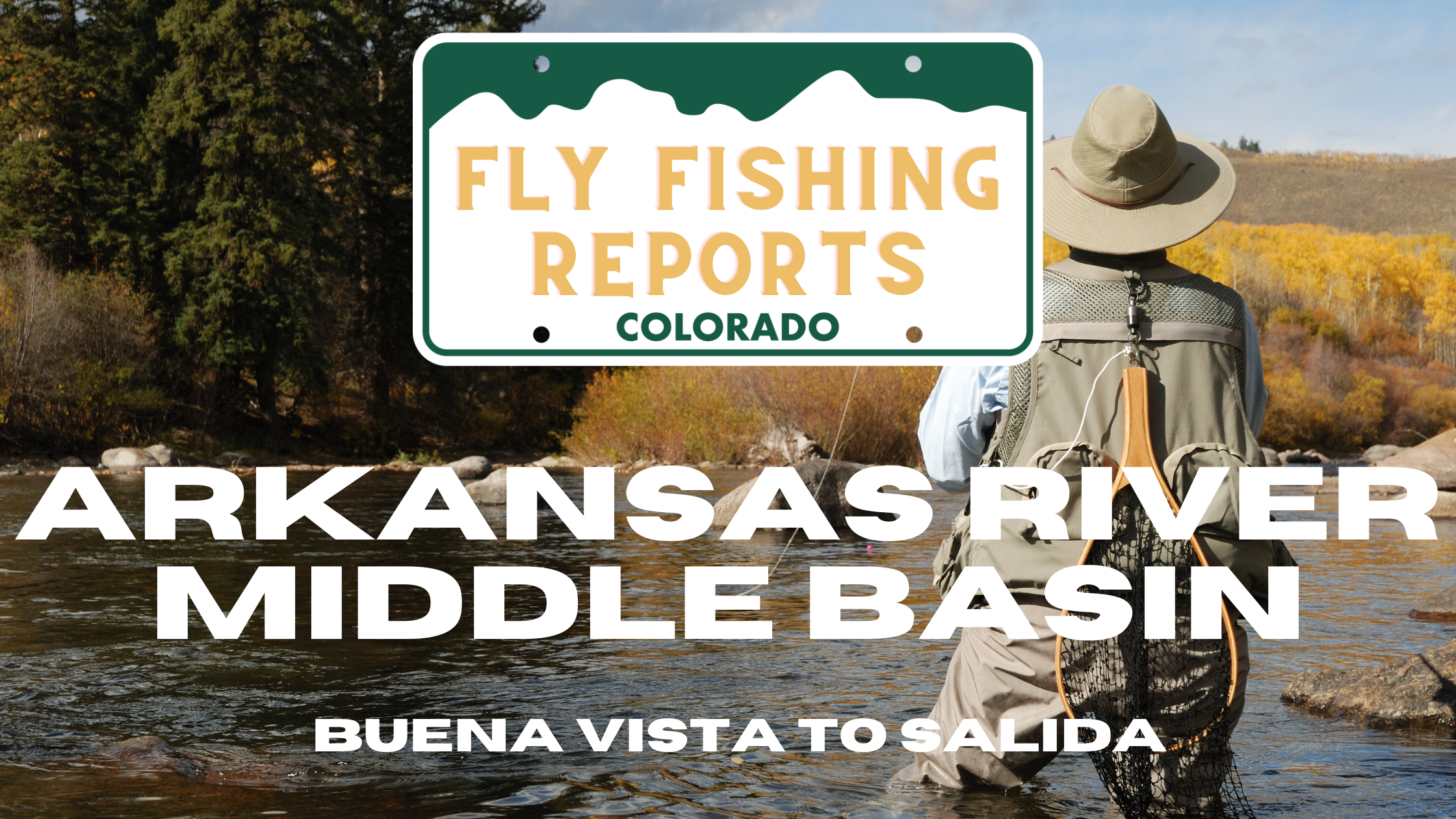 Fly angler casting into the Middle Basin of the Arkansas River near Buena Vista, surrounded by scenic mountain views and fast-moving water in pocket pools and riffles