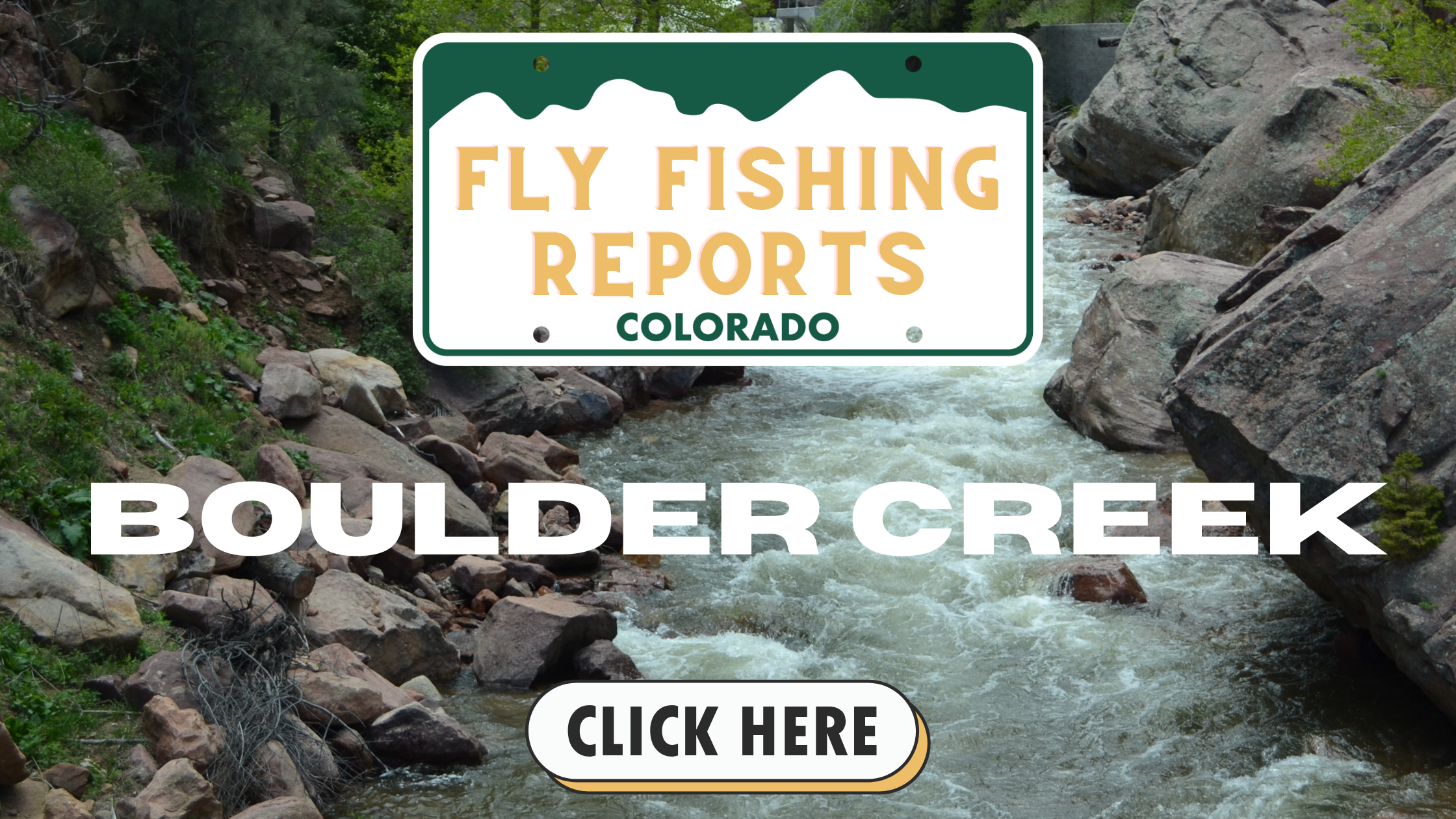 Boulder Creek trout fishing in late fall, with a scenic backdrop of tree-lined banks and mountain views