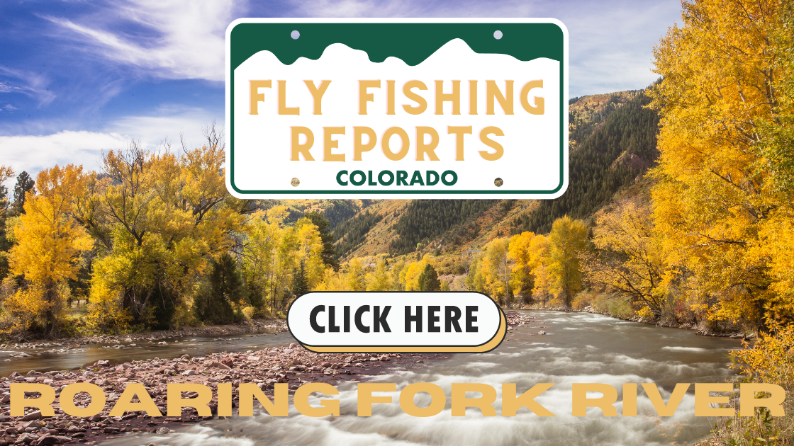 Angler casting a fly rod on the Roaring Fork River, surrounded by fall colors in the Colorado mountains.