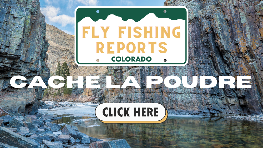 View of Cache la Poudre River winding through Poudre Canyon with golden autumn foliage and clear waters