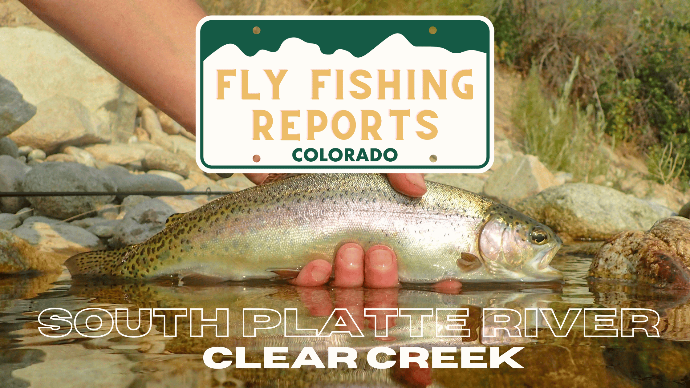 Clear creek fly fishing report from rise beyond fly fishing