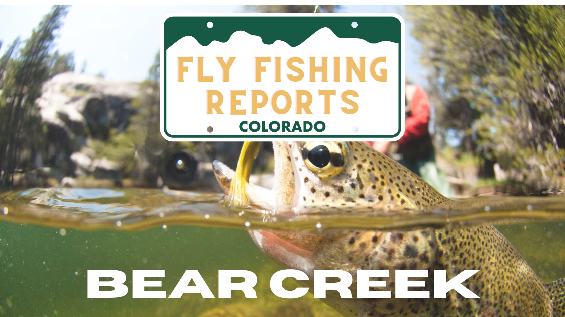 Fly fisherman casting on Bear Creek near Morrison, Colorado, with vibrant fall colors along the banks