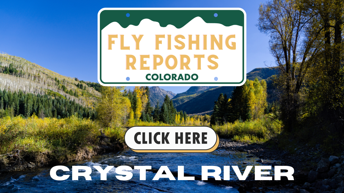 Fly angler casting into the Crystal River surrounded by alpine vistas and fall colors