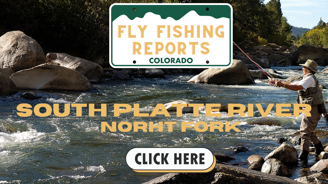 Fly fishing report for North Fork of the South Platte River. Learn about current conditions, fly patterns, and top fishing tactics for trophy-sized trout.