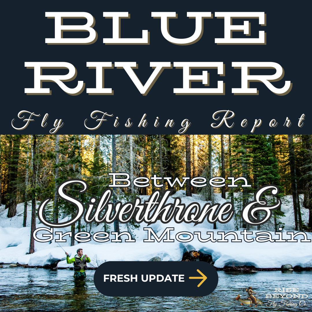 Blue river near silverthorne in winter. an anglers stands waist deep in the water in a back cast while the snow and pine trees hold him in a soft embrace of nature.