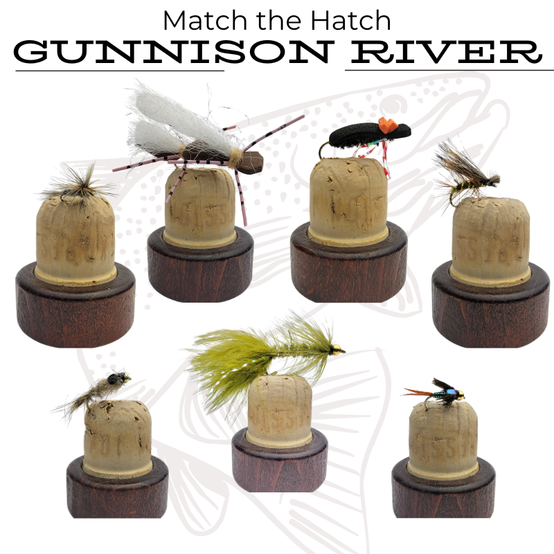 fly fishing tips for the gunnison river in colorado 